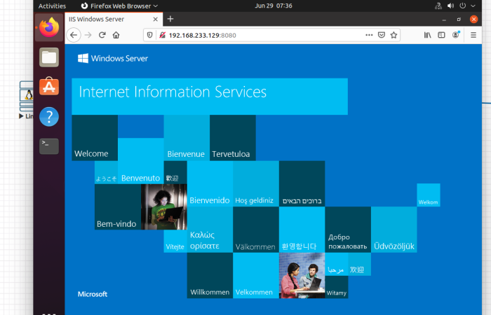 IIS Windows Server DMZ