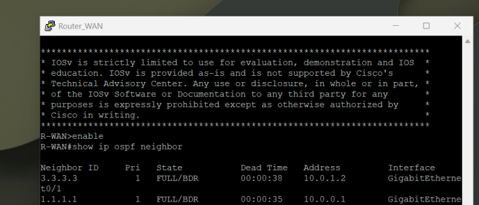 OSPF All Neighbors
