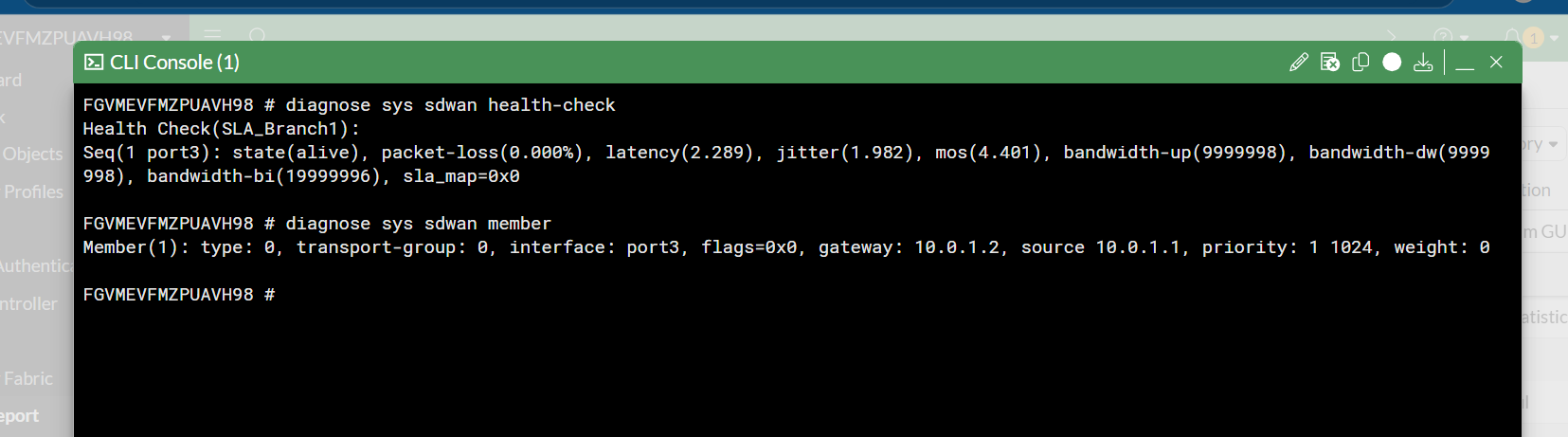 SD-WAN CLI Health Check