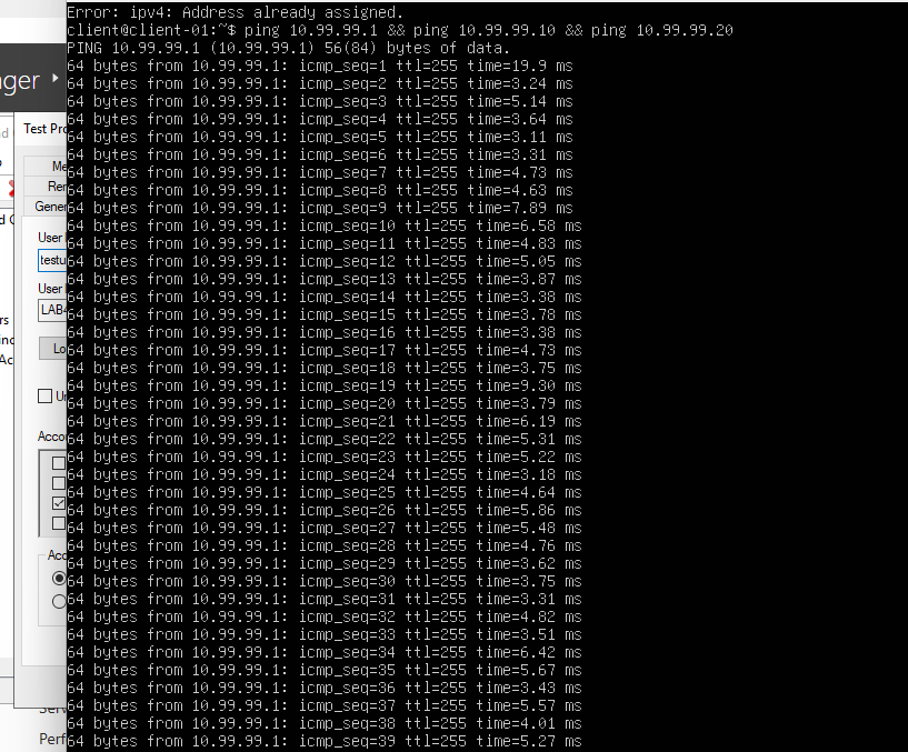 Client ping verification — successful connectivity test